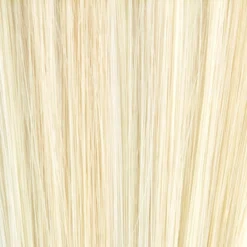 Cali Wig By Tony Of Beverly -Wig Specialty Shop tob 613BHL22 b5d88ecf 81f7 47dc a925 93b91f1b2c98